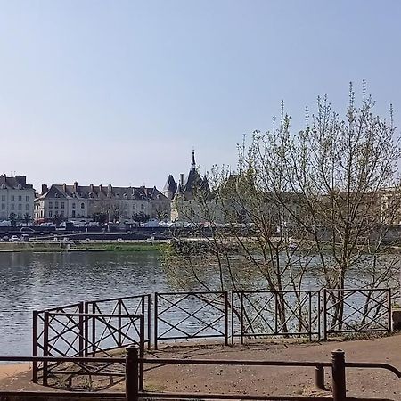 Les Marronniers Appartement Centre Saumur Bord De Loire Ngoại thất bức ảnh