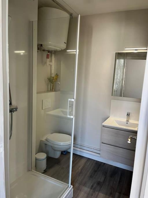 Les Marronniers Appartement Centre Saumur Bord De Loire Ngoại thất bức ảnh
