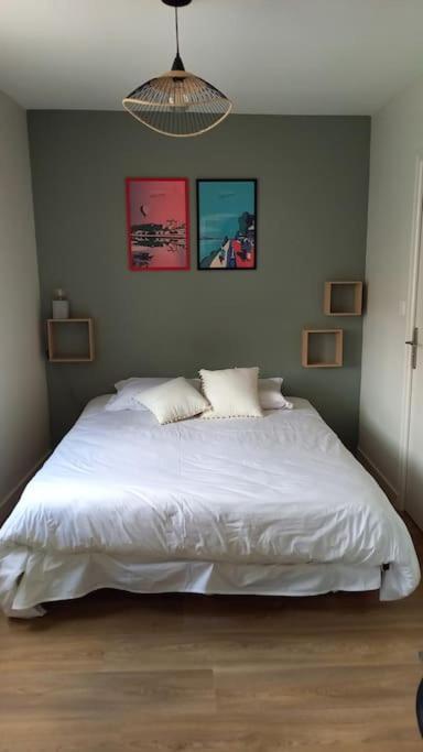 Les Marronniers Appartement Centre Saumur Bord De Loire Ngoại thất bức ảnh